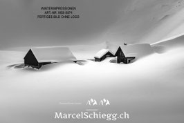 Leinwandbild-Winterimpressionen Art.-Nr. MS5-6874