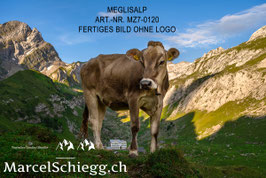 Alu-Dibond-FineArt-Meglisalp Art.-Nr. MZ7-0120