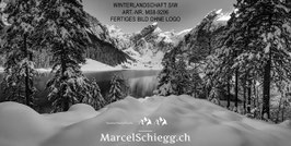 Leinwandbild-Winterlandschaft S/W Art.-Nr. MS8-9296