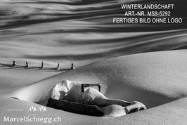 Alu-Dibond-FineArt-Winterlandschaft S/W Art.-Nr. MS8-5292