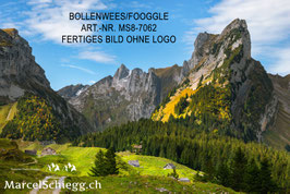 Alu-Dibond-FineArt-Bollenwees/Fooggle Art.-Nr. MS8-7062