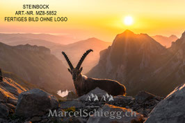 Poster/FineArt Print-Steinbock Art.-Nr. MZ8-5852