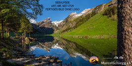 Leinwandbild-Seealpsee Art.-Nr. MZ7-2729