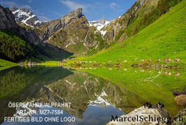 Leinwandbild-Öberefahre/Alpfahrt Art.-Nr. MZ7-7584