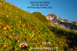 Leinwandbild-Säntis/Alter Säntis Art.-Nr. MS8-1663