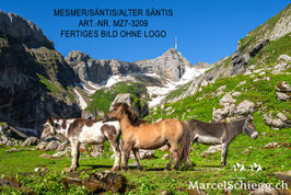 Leinwandbild-Mesmer/Säntis/Alter Säntis Art.-Nr. MZ7-3209