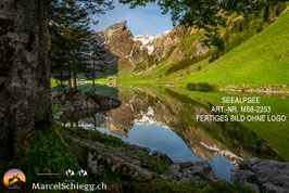 Leinwandbild-Seealpsee Art.-Nr. MS8-2203