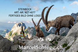 Leinwandbild-Steinbock Art.-Nr. MZ7-4077