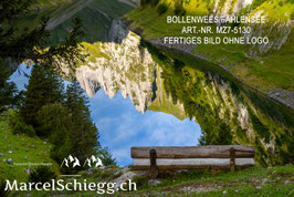 Alu-Dibond-FineArt-Bollenwees/Fählensee Art.-Nr. MZ7-5130