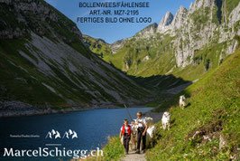 Leinwandbild-Bollenwees/Fählensee Art.-Nr. MZ7-2195