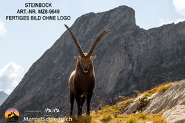 Leinwandbild-Steinbock Art.-Nr. MZ8-9649