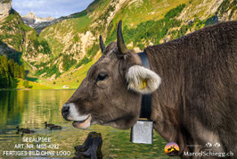 Leinwandbild-Seealpsee Art.-Nr. MS5-4292