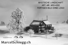 Leinwandbild-Mystische Landschaft S/W Art.-Nr. MS5-4282