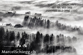 Alu-Dibond-FineArt-Mystische Landschaft S/W Art.-Nr. MS8-3866