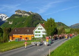 PK-Öberefahre/Alpfahrt-MS8-2244