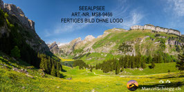 Leinwandbild-Seealpsee Art.-Nr. MS8-9466