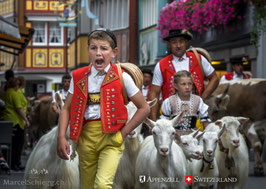 PK-Öberefahre/Alpfahrt-MS5-4096