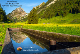 Leinwandbild-Sämtisersee Art.-Nr. MZ7-2137