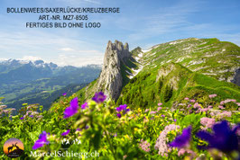 Leinwandbild-Bollenwees/Saxerlücke/Kreuzberge Art.-Nr. MZ7-8505