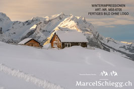 Leinwandbild-Winterimpressionen Art.-Nr. MS5-6705