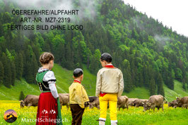 Alu-Dibond-FineArt-Öberefahre/Alpfahrt Art.-Nr. MZ7-2319
