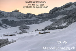 Alu-Dibond-FineArt-Winterimpressionen Art.-Nr. MZ7-9031