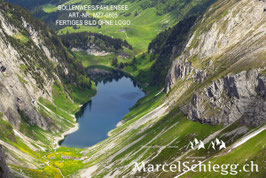 Leinwandbild-Bollenwees/Fählensee Art.-Nr. MZ7-0805