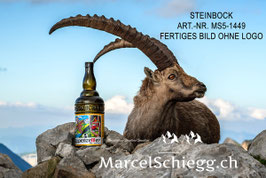 Leinwandbild-Steinbock Art.-Nr. MS5-1449