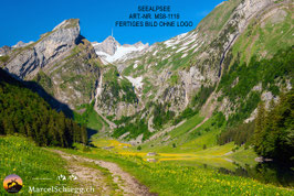 Leinwandbild-Seealpsee Art.-Nr. MS8-1118