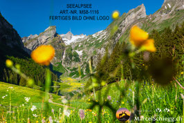 Leinwandbild-Seealpsee Art.-Nr. MS8-1116