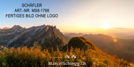Leinwandbild-Schäfler Art.-Nr. MS8-1788