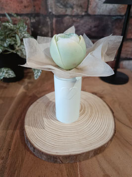 Tulipe éternelle
