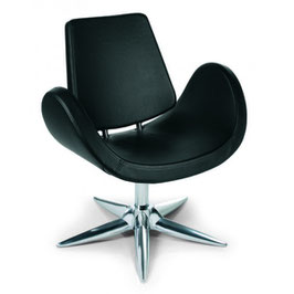 Alipes Black