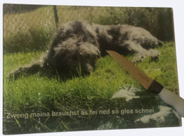 Glas-Schneidebrett