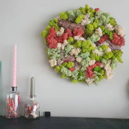 Workshop Moswand maken ~ 20 maart 2026 | Uitgeest