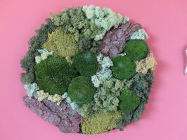 Workshop Moswand maken ~ 25 oktober 2025 | Uitgeest