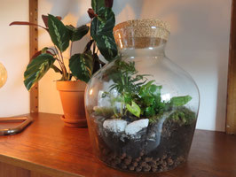 Workshop Ecosysteem vaas | 18 december 2025 @ Het Atelier Uitgeest