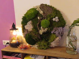 Workshop Moswand maken ~  3 december 2026 | Uitgeest