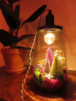 Kerstlampje maken- 4 december 2025 | Uitgeest