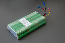 BionX 3333-G10297083 11S3P Wisper (40,7V) Selbsteinbau