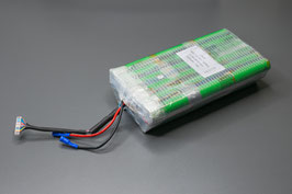 BionX 3800-C12004387  13S3P (48V) Selbsteinbau