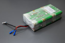 BionX 3965-C11286096 13S4P (48V) Selbsteinbau