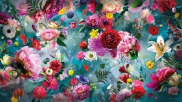 Primavera 160x90