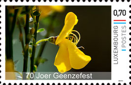 Briefmarke "Ginsterblüte"