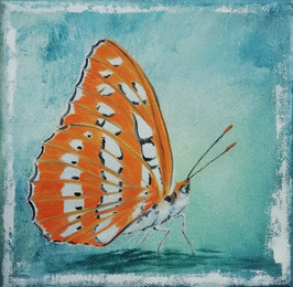 Schmetterling orange