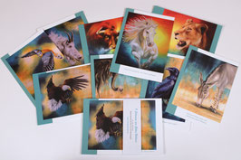 Gesamt-Edition "9 Stimmen aus Gottes Wildnis"