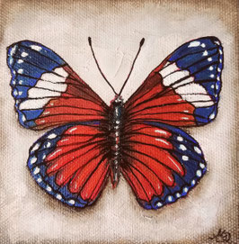 Schmetterling Blau-rot