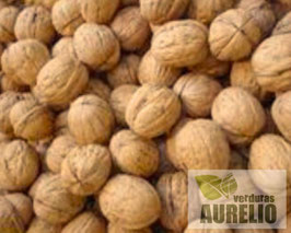 NUECES