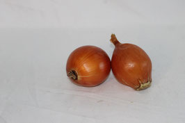 CEBOLLA