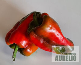 PIMIENTO LAMUYO ENTREVERADO ECOLÓGICO